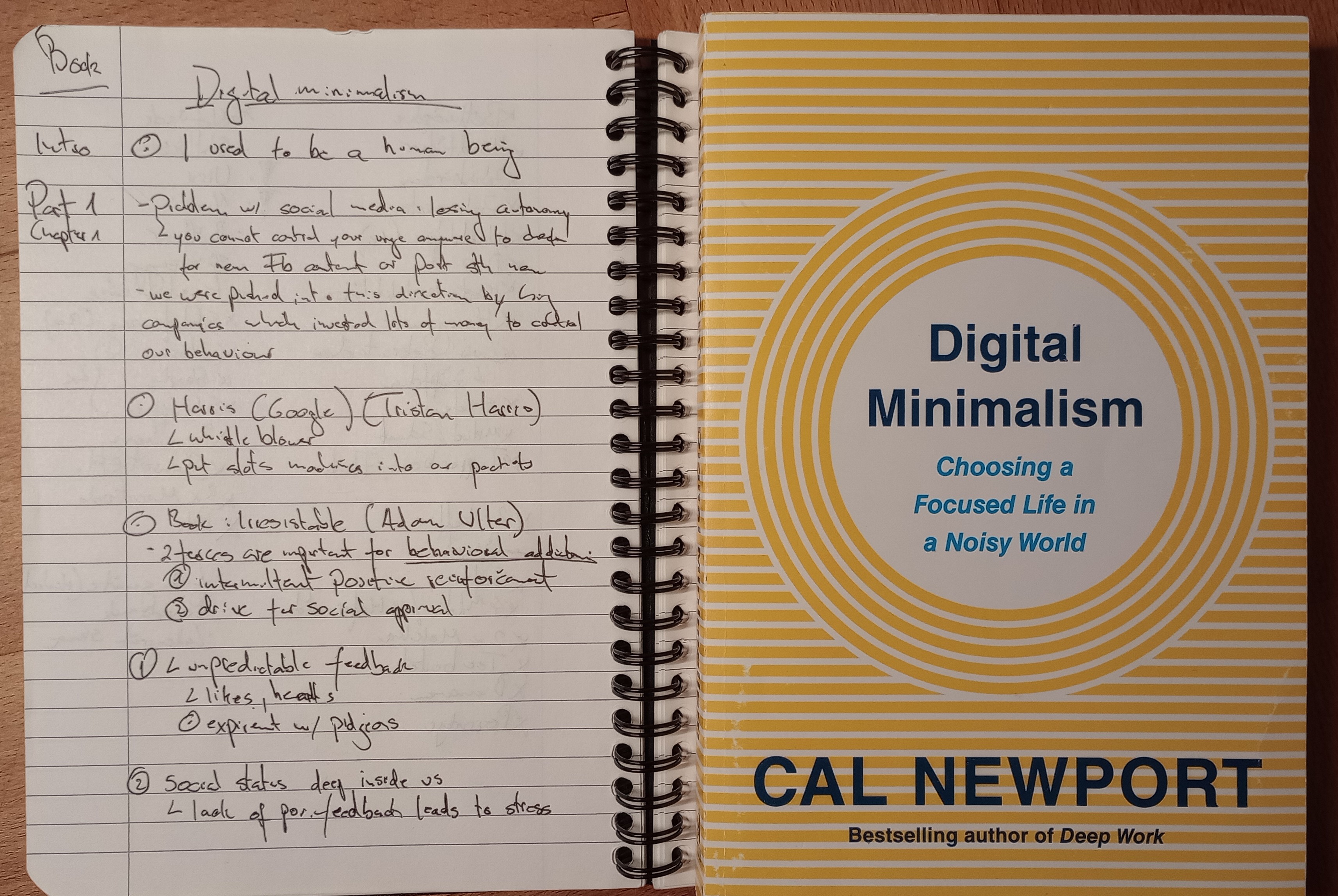 Figure 1: Digital Minimalism: I&rsquo;ve started with the audio book but then I ordered a physical copy for further reading.